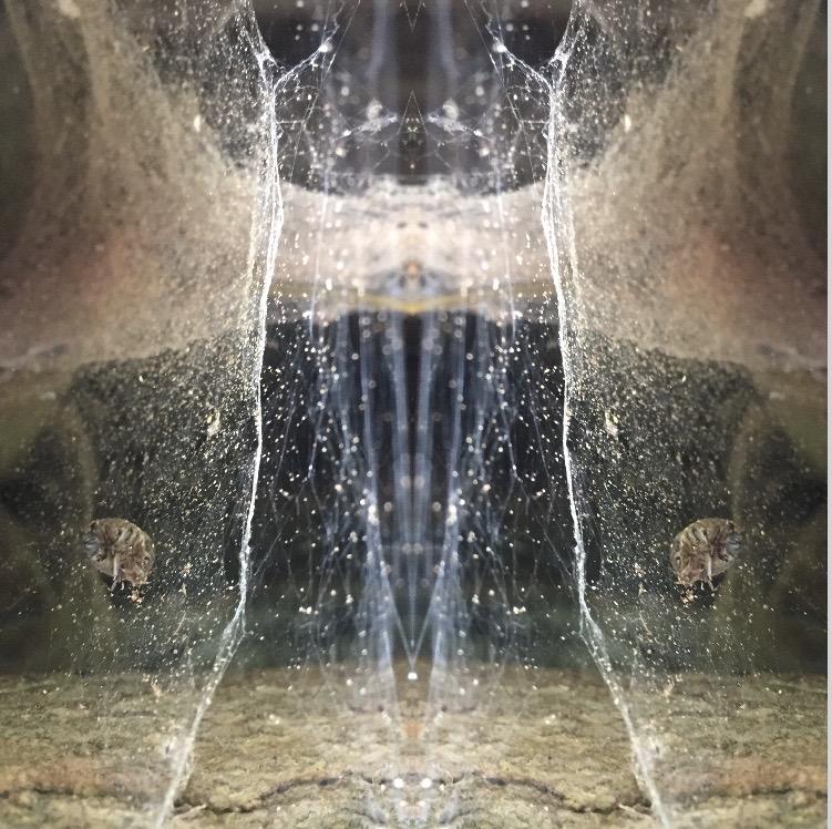 84488890635c7413197f4e1_0_web.jpg